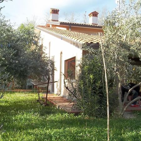 Villa Ambrosia Múggia Eksteriør bilde
