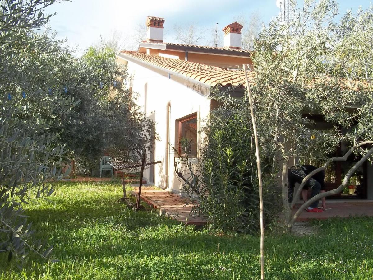 Villa Ambrosia Múggia Eksteriør bilde