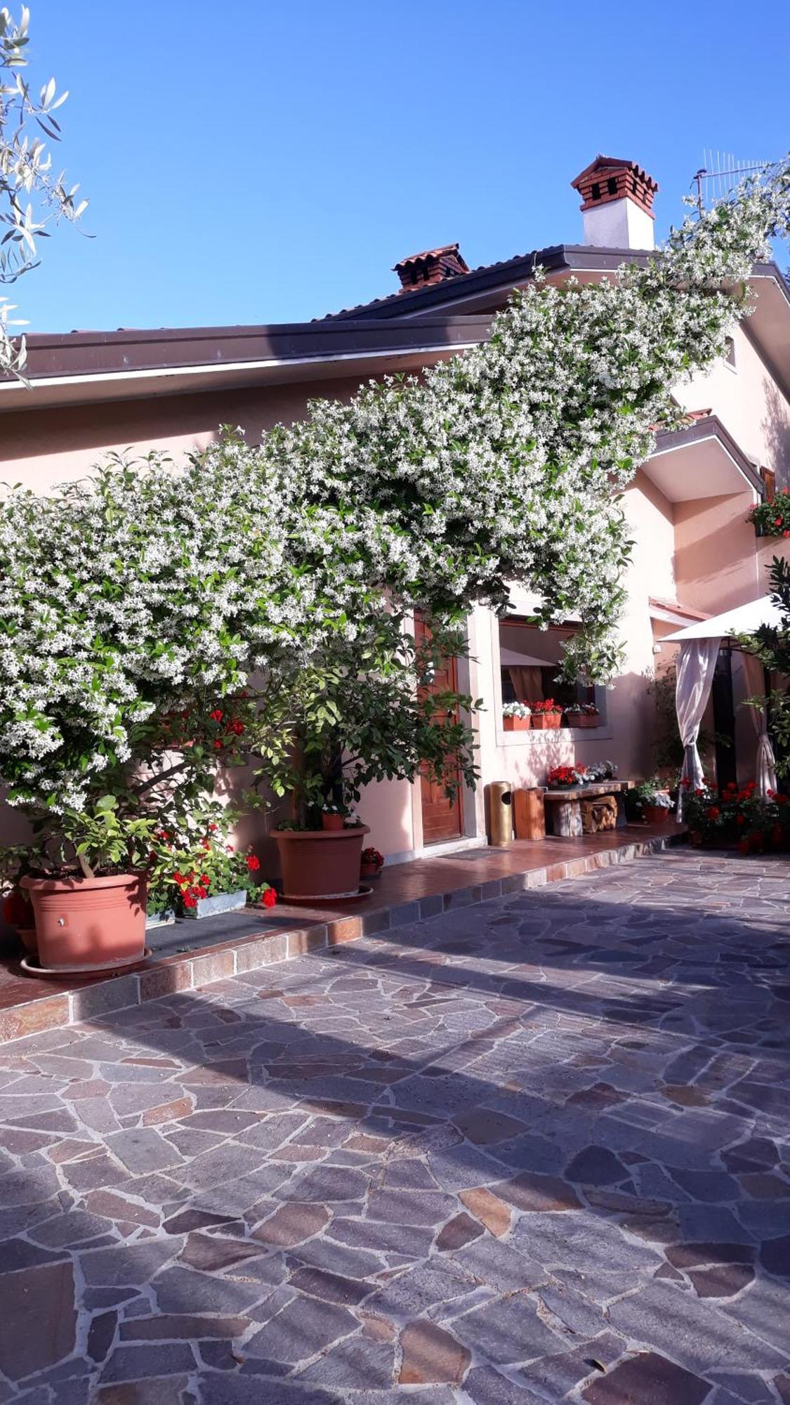 Villa Ambrosia Múggia Eksteriør bilde